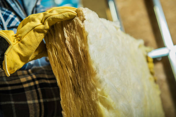 Best Home Insulation Services  in Crandall, TX