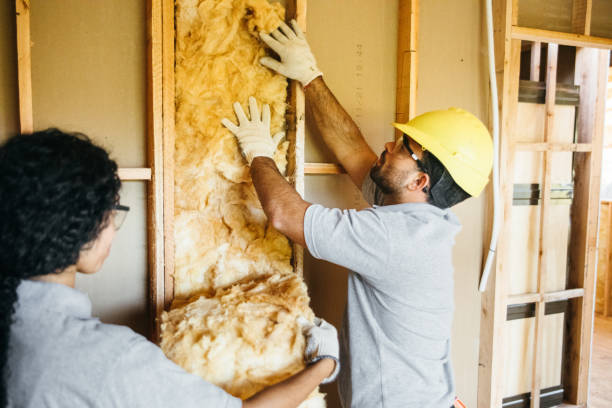 Best Insulation Contractors for Homes  in Crandall, TX