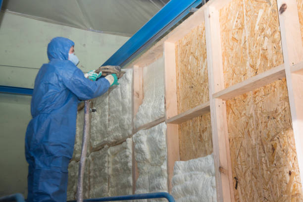 Best Wall Insulation Contractor  in Crandall, TX