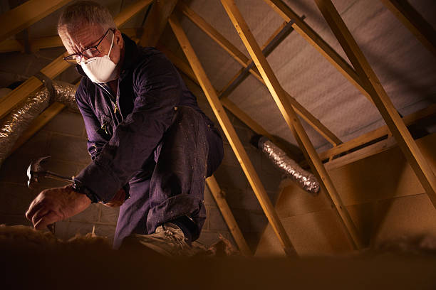 Best Energy-efficient Insulation  in Crandall, TX